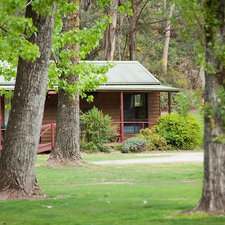 Beechworth Holiday Park Zewnętrze zdjęcie
