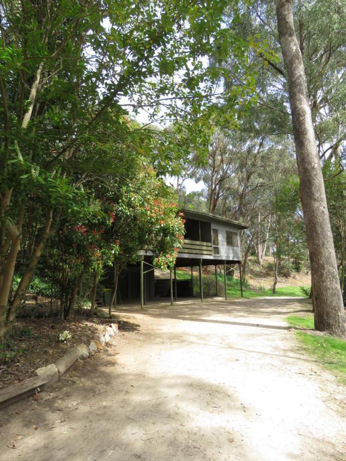 Beechworth Holiday Park Zewnętrze zdjęcie