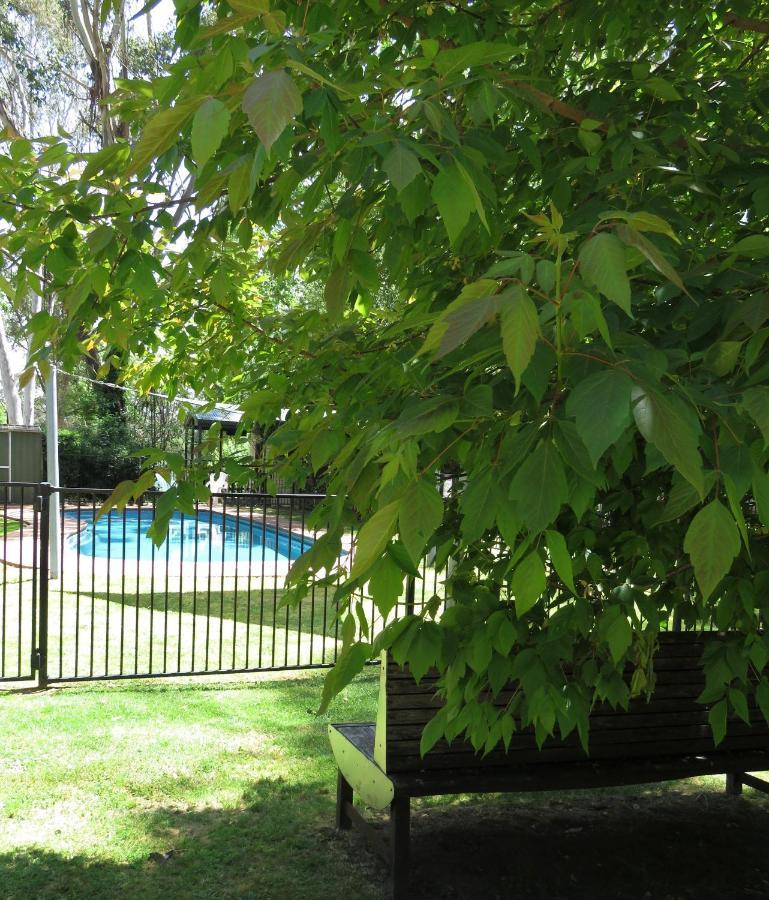 Beechworth Holiday Park Zewnętrze zdjęcie
