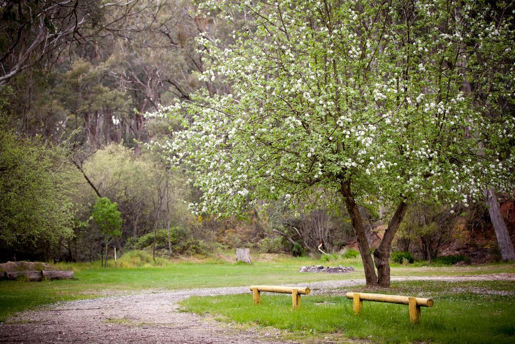 Beechworth Holiday Park Zewnętrze zdjęcie